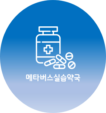 메타버스 실습약국